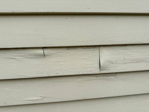 Professional Siding Installation in Dunkirk, IN